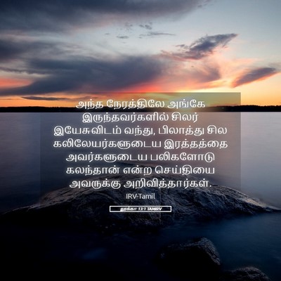 Picture 05 - லூக்கா 13:1 TAMIRV - அந்த நேரத்திலே - Bible Verse Picture