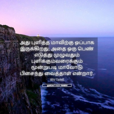 Picture 05 - லூக்கா 13:21 TAMIRV - அது புளித்த - Bible Verse Picture