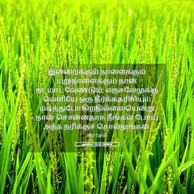 Picture 05 - லூக்கா 13:33 TAMIRV - இன்றைக்கும் - Bible Verse Picture