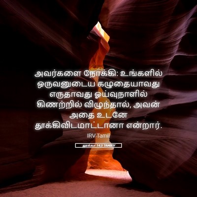 Picture 05 - லூக்கா 14:5 TAMIRV - அவர்களை நோக்கி: - Bible Verse Picture