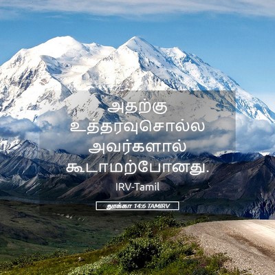 Picture 05 - லூக்கா 14:6 TAMIRV - அதற்கு - Bible Verse Picture