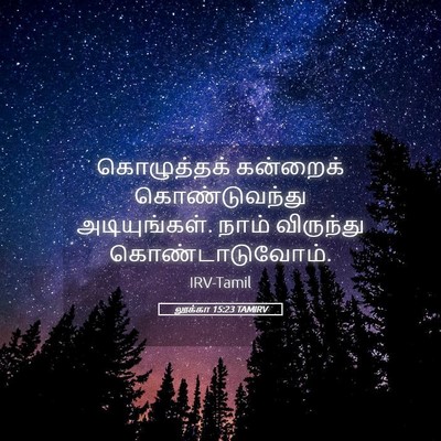 Picture 05 - லூக்கா 15:23 TAMIRV - கொழுத்தக் கன்றைக் - Bible Verse Picture