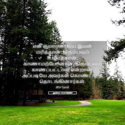 Picture 05 - லூக்கா 15:24 TAMIRV - என் குமாரனாகிய - Bible Verse Picture