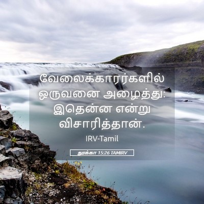 Picture 05 - லூக்கா 15:26 TAMIRV - வேலைக்காரர்களில் - Bible Verse Picture