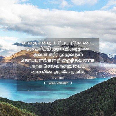 Picture 05 - லூக்கா 16:20 TAMIRV - லாசரு என்னும் - Bible Verse Picture