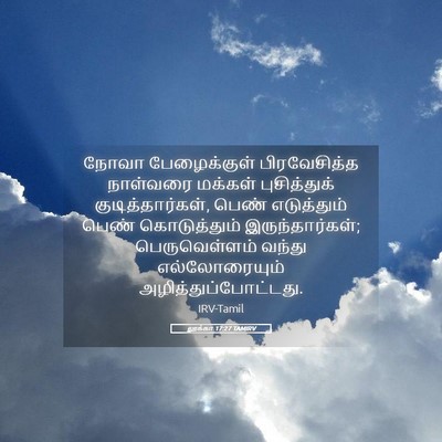 Picture 05 - லூக்கா 17:27 TAMIRV - நோவா பேழைக்குள் - Bible Verse Picture