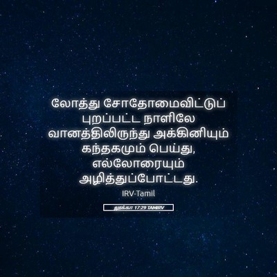 Picture 05 - லூக்கா 17:29 TAMIRV - லோத்து - Bible Verse Picture