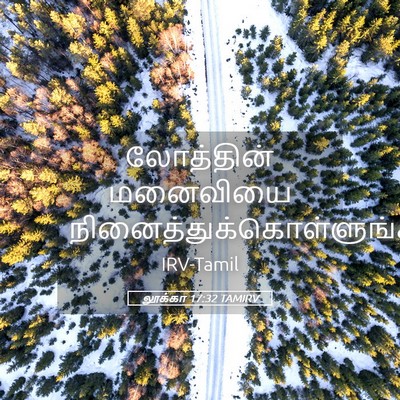 Picture 05 - லூக்கா 17:32 TAMIRV - லோத்தின் மனைவியை - Bible Verse Picture