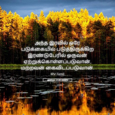 Picture 05 - லூக்கா 17:34 TAMIRV - அந்த இரவில் ஒரே - Bible Verse Picture