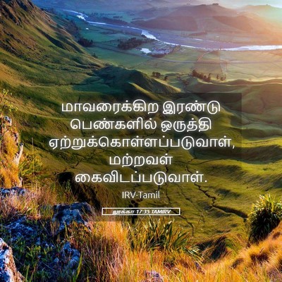 Picture 05 - லூக்கா 17:35 TAMIRV - மாவரைக்கிற இரண்டு - Bible Verse Picture