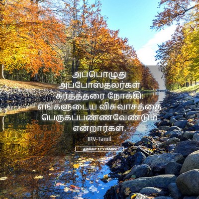 Picture 05 - லூக்கா 17:5 TAMIRV - அப்பொழுது - Bible Verse Picture