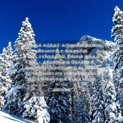 Picture 05 - லூக்கா 17:6 TAMIRV - அதற்குக் - Bible Verse Picture