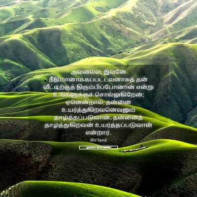 Picture 05 - லூக்கா 18:14 TAMIRV - அவனல்ல, இவனே - Bible Verse Picture