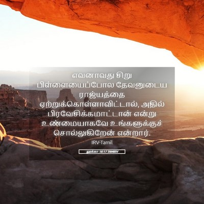 Picture 05 - லூக்கா 18:17 TAMIRV - எவனாவது சிறு - Bible Verse Picture