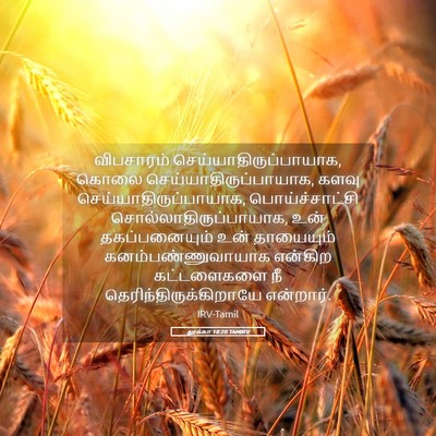 Picture 05 - லூக்கா 18:20 TAMIRV - விபசாரம் - Bible Verse Picture