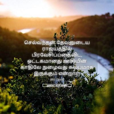 Picture 05 - லூக்கா 18:25 TAMIRV - செல்வந்தன் - Bible Verse Picture