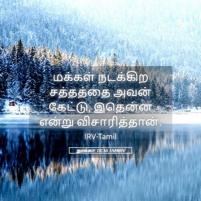 Picture 05 - லூக்கா 18:36 TAMIRV - மக்கள் நடக்கிற - Bible Verse Picture