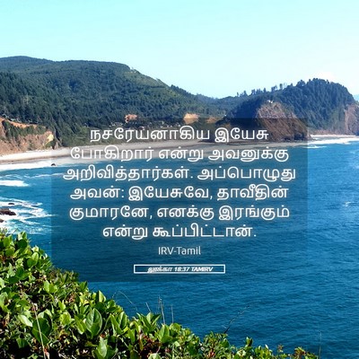 Picture 05 - லூக்கா 18:37 TAMIRV - நசரேயனாகிய இயேசு - Bible Verse Picture