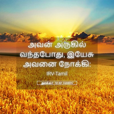 Picture 05 - லூக்கா 18:40 TAMIRV - அவன் அருகில் - Bible Verse Picture