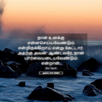 Picture 05 - லூக்கா 18:41 TAMIRV - நான் உனக்கு - Bible Verse Picture