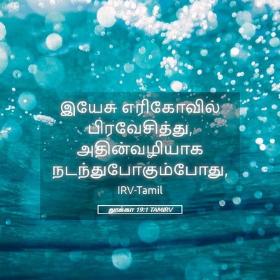 Picture 05 - லூக்கா 19:1 TAMIRV - இயேசு எரிகோவில் - Bible Verse Picture