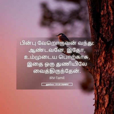 Picture 05 - லூக்கா 19:20 TAMIRV - பின்பு வேறொருவன் - Bible Verse Picture