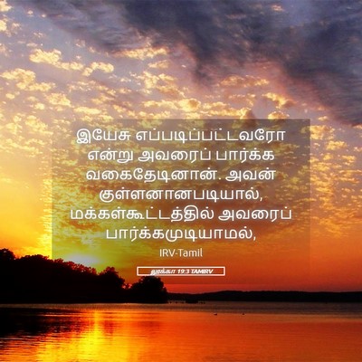 Picture 05 - லூக்கா 19:3 TAMIRV - இயேசு - Bible Verse Picture