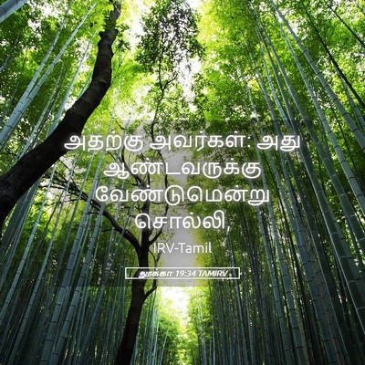 Picture 05 - லூக்கா 19:34 TAMIRV - அதற்கு அவர்கள்: - Bible Verse Picture
