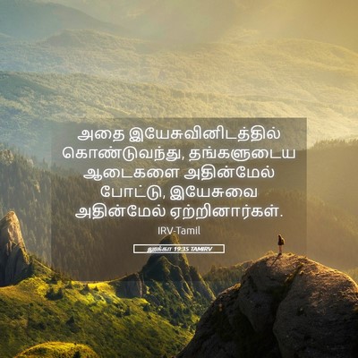 Picture 05 - லூக்கா 19:35 TAMIRV - அதை - Bible Verse Picture