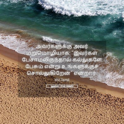 Picture 05 - லூக்கா 19:40 TAMIRV - அவர்களுக்கு அவர் - Bible Verse Picture