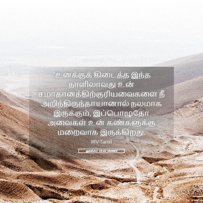 Picture 05 - லூக்கா 19:42 TAMIRV - “உனக்குக் கிடைத்த - Bible Verse Picture