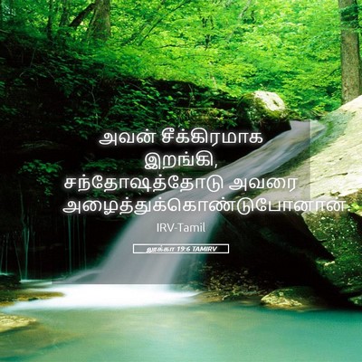 Picture 05 - லூக்கா 19:6 TAMIRV - அவன் சீக்கிரமாக - Bible Verse Picture