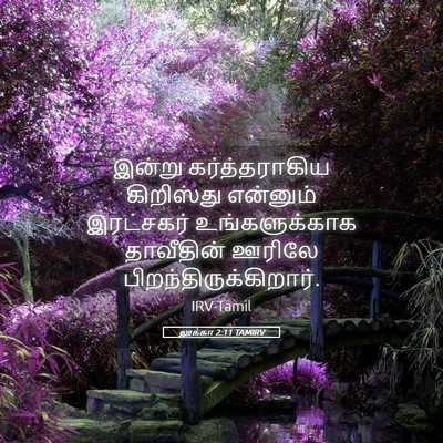 Picture 05 - லூக்கா 2:11 TAMIRV - இன்று கர்த்தராகிய - Bible Verse Picture