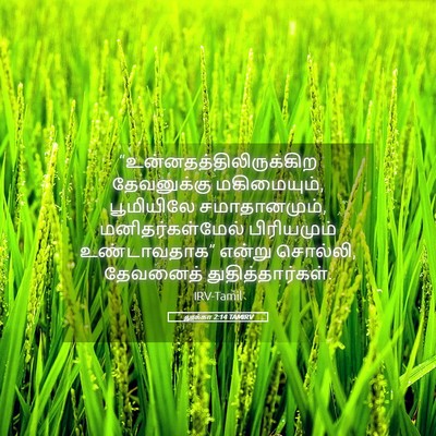 Picture 05 - லூக்கா 2:14 TAMIRV -  - Bible Verse Picture