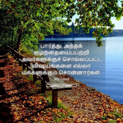 Picture 05 - லூக்கா 2:17 TAMIRV - பார்த்து, அந்தக் - Bible Verse Picture