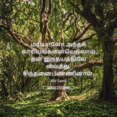 Picture 05 - லூக்கா 2:19 TAMIRV - மரியாளோ அந்தக் - Bible Verse Picture