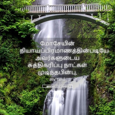 Picture 05 - லூக்கா 2:22 TAMIRV - மோசேயின் - Bible Verse Picture
