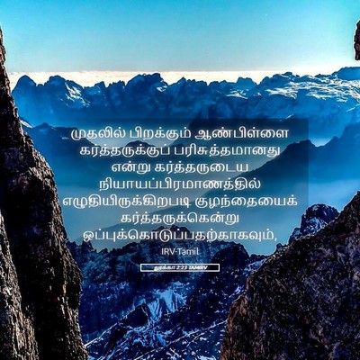 Picture 05 - லூக்கா 2:23 TAMIRV - முதலில் பிறக்கும் - Bible Verse Picture