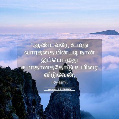Picture 05 - லூக்கா 2:29 TAMIRV - “ஆண்டவரே, உமது - Bible Verse Picture