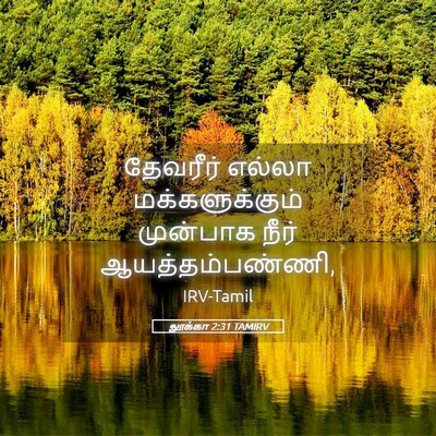 Picture 05 - லூக்கா 2:31 TAMIRV - தேவரீர் எல்லா - Bible Verse Picture