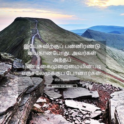 Picture 05 - லூக்கா 2:42 TAMIRV - இயேசுவிற்குப் - Bible Verse Picture