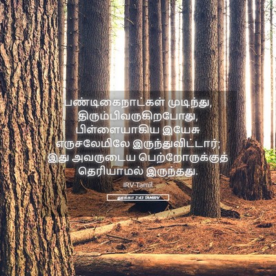 Picture 05 - லூக்கா 2:43 TAMIRV - பண்டிகைநாட்கள் - Bible Verse Picture
