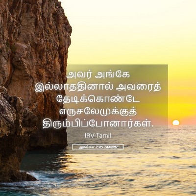Picture 05 - லூக்கா 2:45 TAMIRV - அவர் அங்கே - Bible Verse Picture