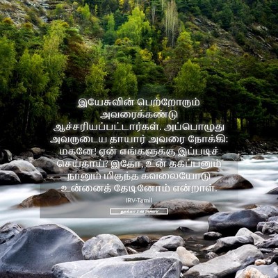 Picture 05 - லூக்கா 2:48 TAMIRV - இயேசுவின் - Bible Verse Picture