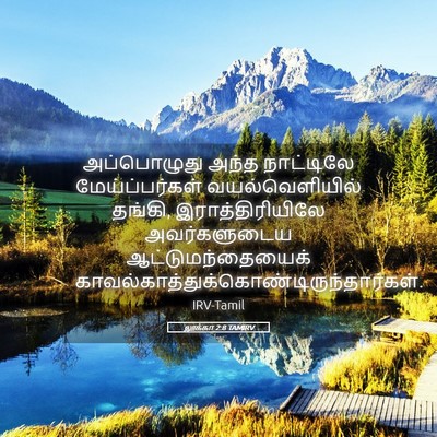 Picture 05 - லூக்கா 2:8 TAMIRV - அப்பொழுது அந்த - Bible Verse Picture