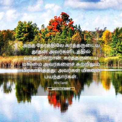 Picture 05 - லூக்கா 2:9 TAMIRV - அந்த நேரத்திலே - Bible Verse Picture