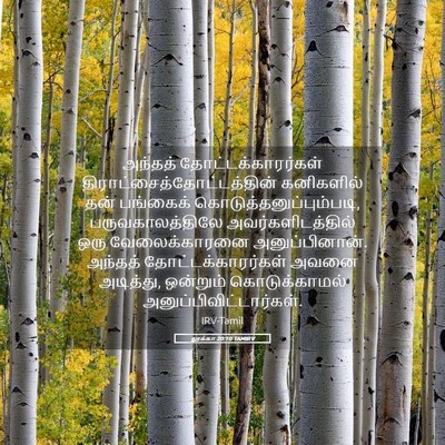 Picture 05 - லூக்கா 20:10 TAMIRV - அந்தத் - Bible Verse Picture