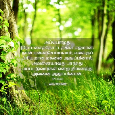 Picture 05 - லூக்கா 20:13 TAMIRV - அப்பொழுது - Bible Verse Picture