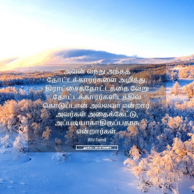 Picture 05 - லூக்கா 20:16 TAMIRV - அவன் வந்து அந்தத் - Bible Verse Picture
