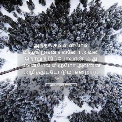 Picture 05 - லூக்கா 20:18 TAMIRV - அந்தக் - Bible Verse Picture